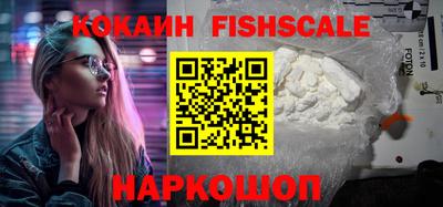 гидра Будённовск