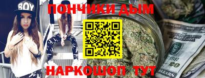 гидра Будённовск