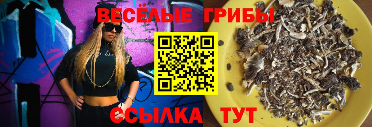 Пермь  Псилоцибиновые грибы ЛСД  Вход с VPN  Галлюциногенные грибы MAGIC MUSHROOMS 